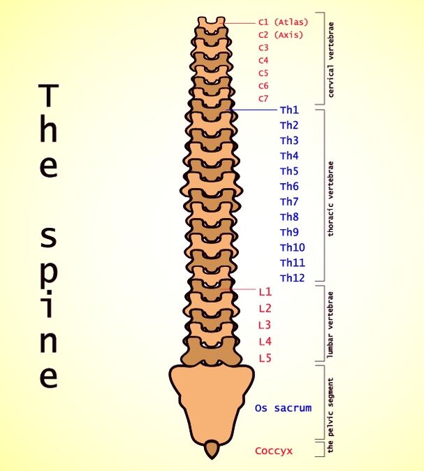Лумбар остеохондроз